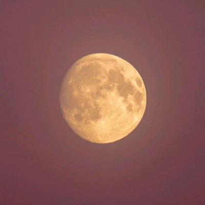 深夜！黄金、白银拉升，油价直线跳水！